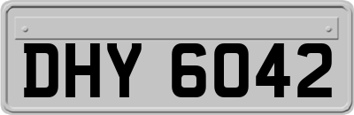 DHY6042