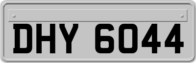 DHY6044