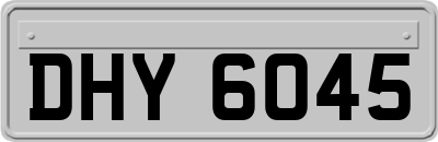 DHY6045