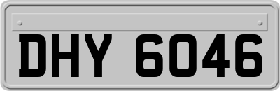 DHY6046