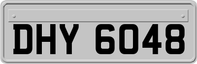 DHY6048