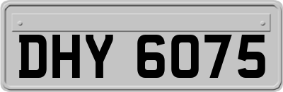 DHY6075