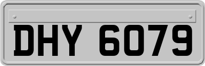 DHY6079