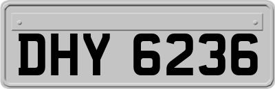 DHY6236