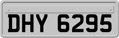 DHY6295