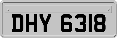 DHY6318
