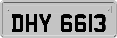DHY6613