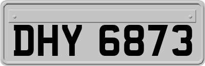 DHY6873