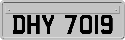 DHY7019
