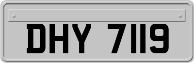 DHY7119