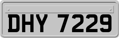DHY7229