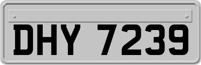 DHY7239