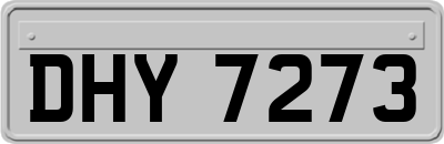 DHY7273