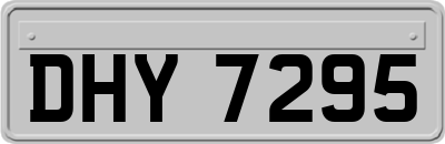 DHY7295