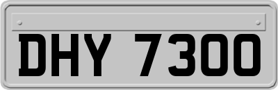 DHY7300