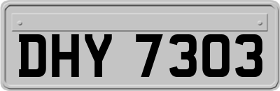 DHY7303