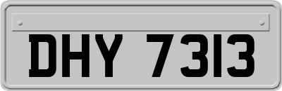 DHY7313