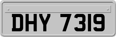 DHY7319