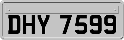DHY7599
