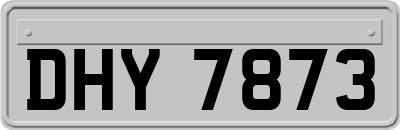 DHY7873