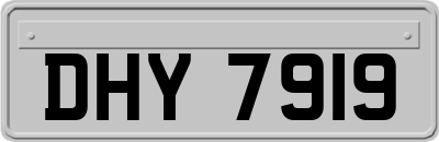 DHY7919