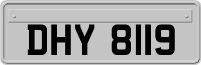DHY8119