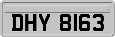 DHY8163