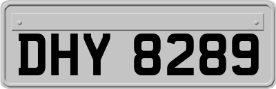 DHY8289