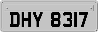 DHY8317