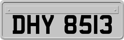 DHY8513