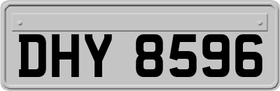 DHY8596
