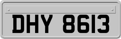 DHY8613