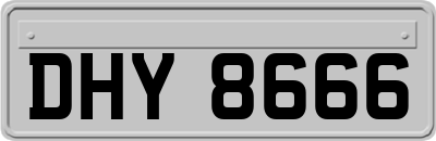 DHY8666