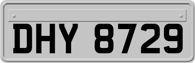 DHY8729