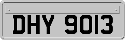 DHY9013