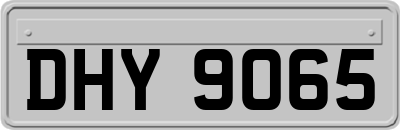DHY9065