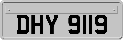 DHY9119