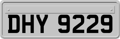DHY9229