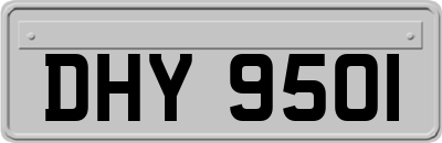 DHY9501