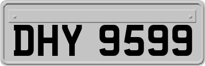 DHY9599