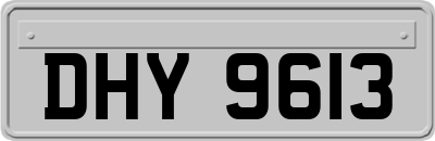 DHY9613