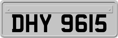 DHY9615