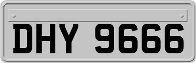 DHY9666