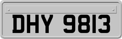 DHY9813