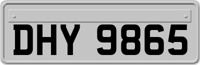 DHY9865