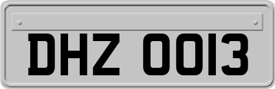 DHZ0013