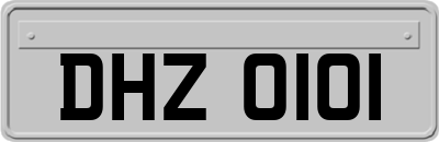 DHZ0101