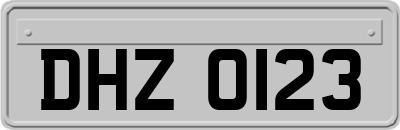 DHZ0123