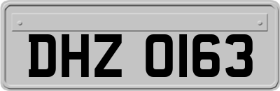 DHZ0163