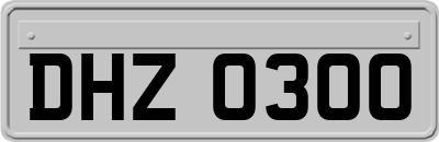 DHZ0300